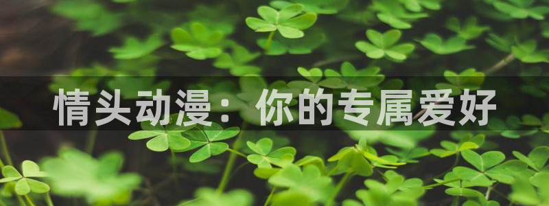 78动漫免费观看：情头动漫：你的专属爱好