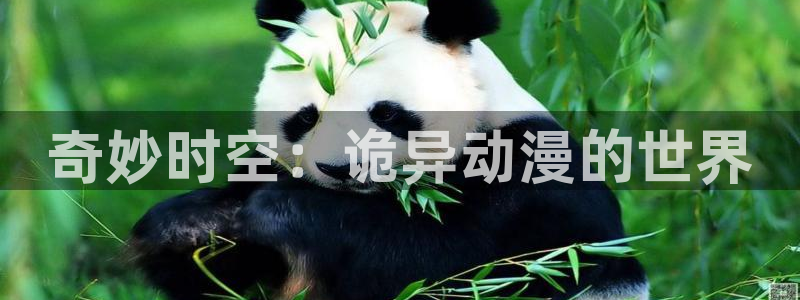 78动漫网：奇妙时空：诡异动漫的世界